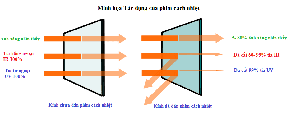 Phim-c%C3%A1ch-nhi%E1%BB%87t-%C3%B4-t%C3%B4-nhu-the-nao-phuongdongauto-net.png